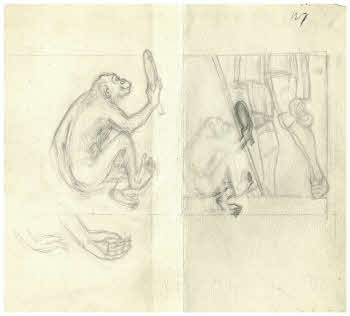 Visualizza l'immagine "FD D 1898"